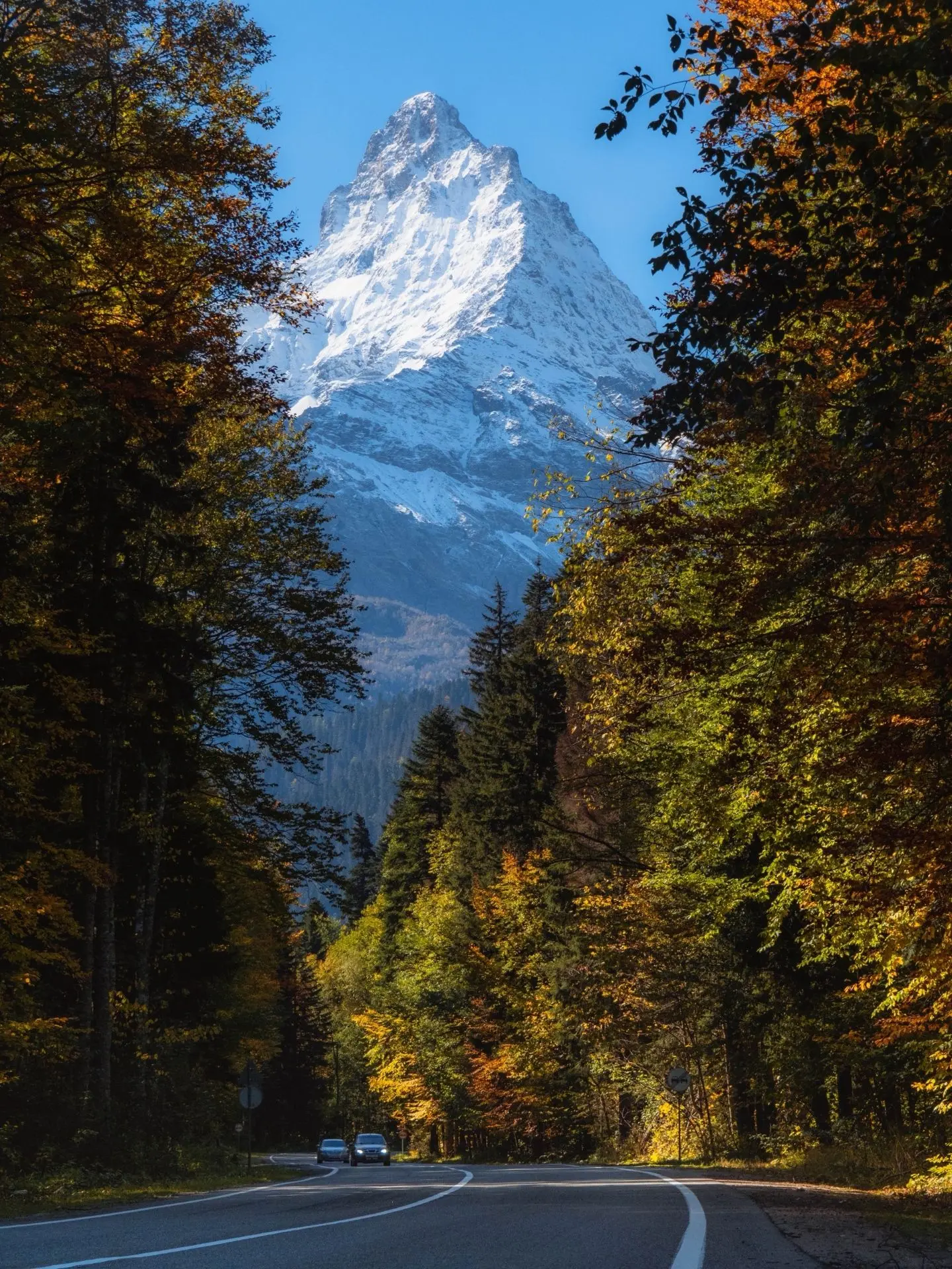 Самая красивая осенняя дорога Кавказа 🏔️.