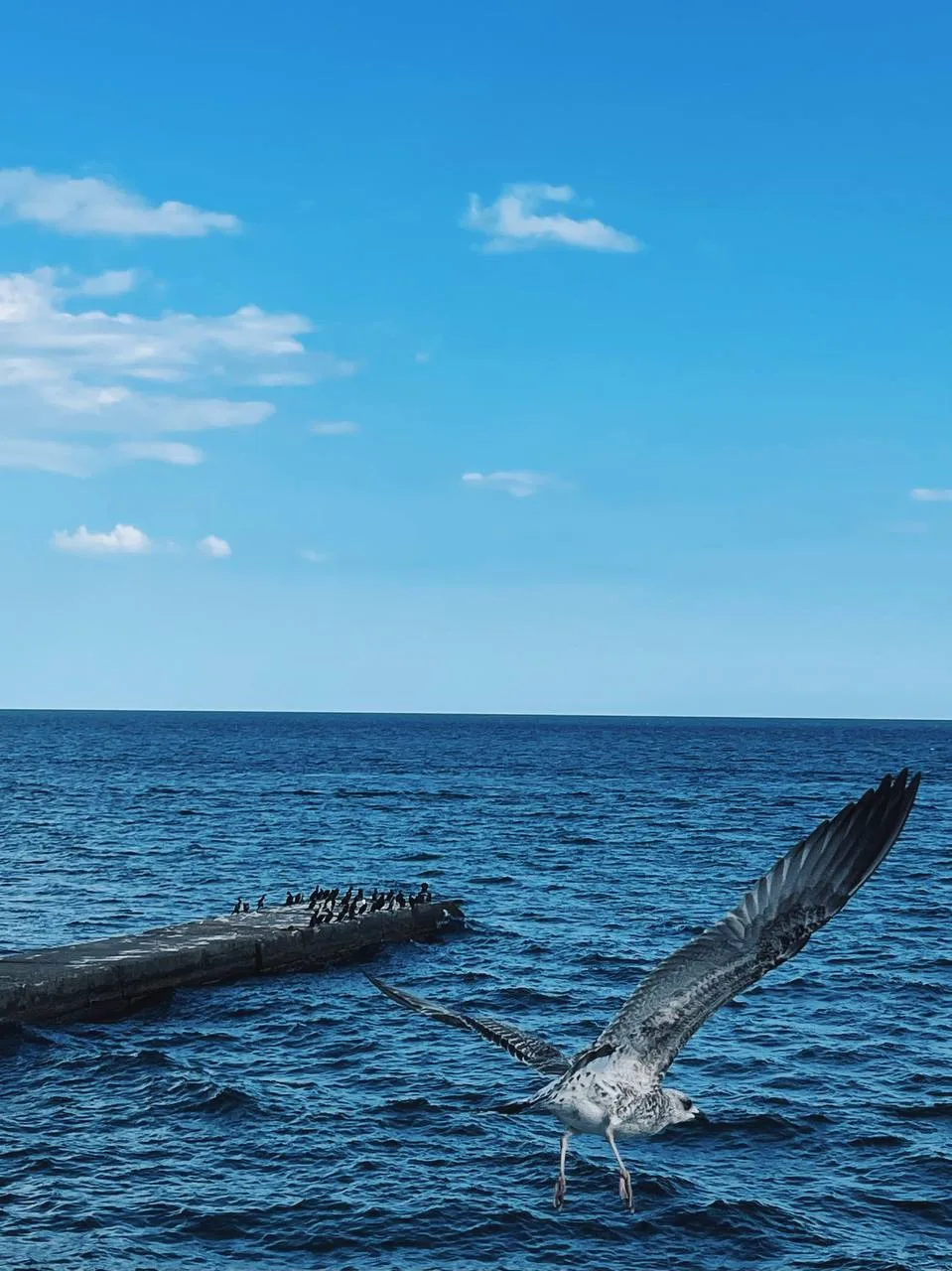 Набережная пляжа Карасан, Партенит 📍