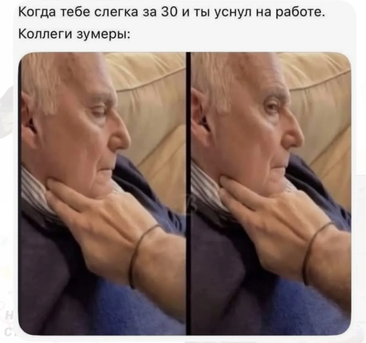 Страх потеряли😹