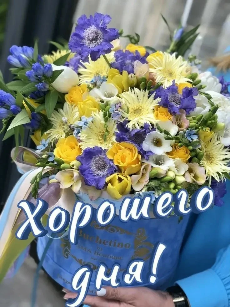 🌺ОТКРЫТКИ И ПОЗДРАВЛЕНИЯ 🌺