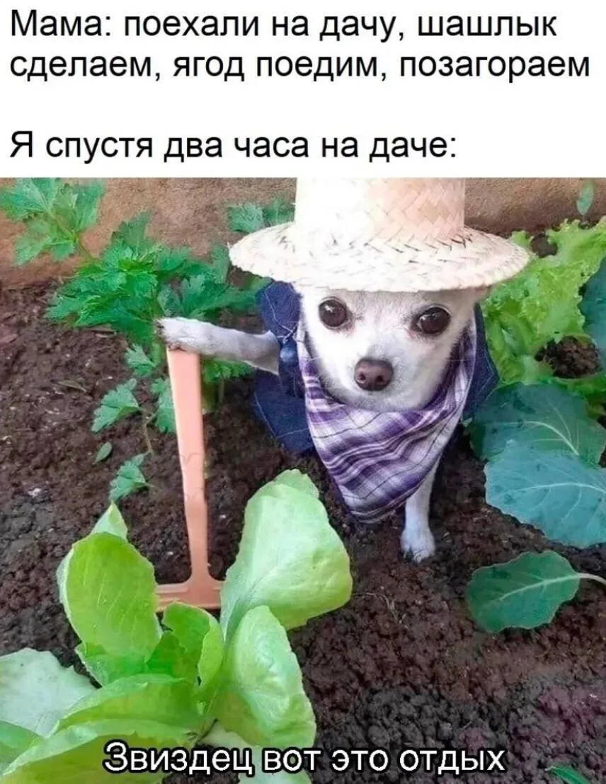 А вы знали, что 12 октября – это праздник чистого стакана и день закрытия дачного сезона.