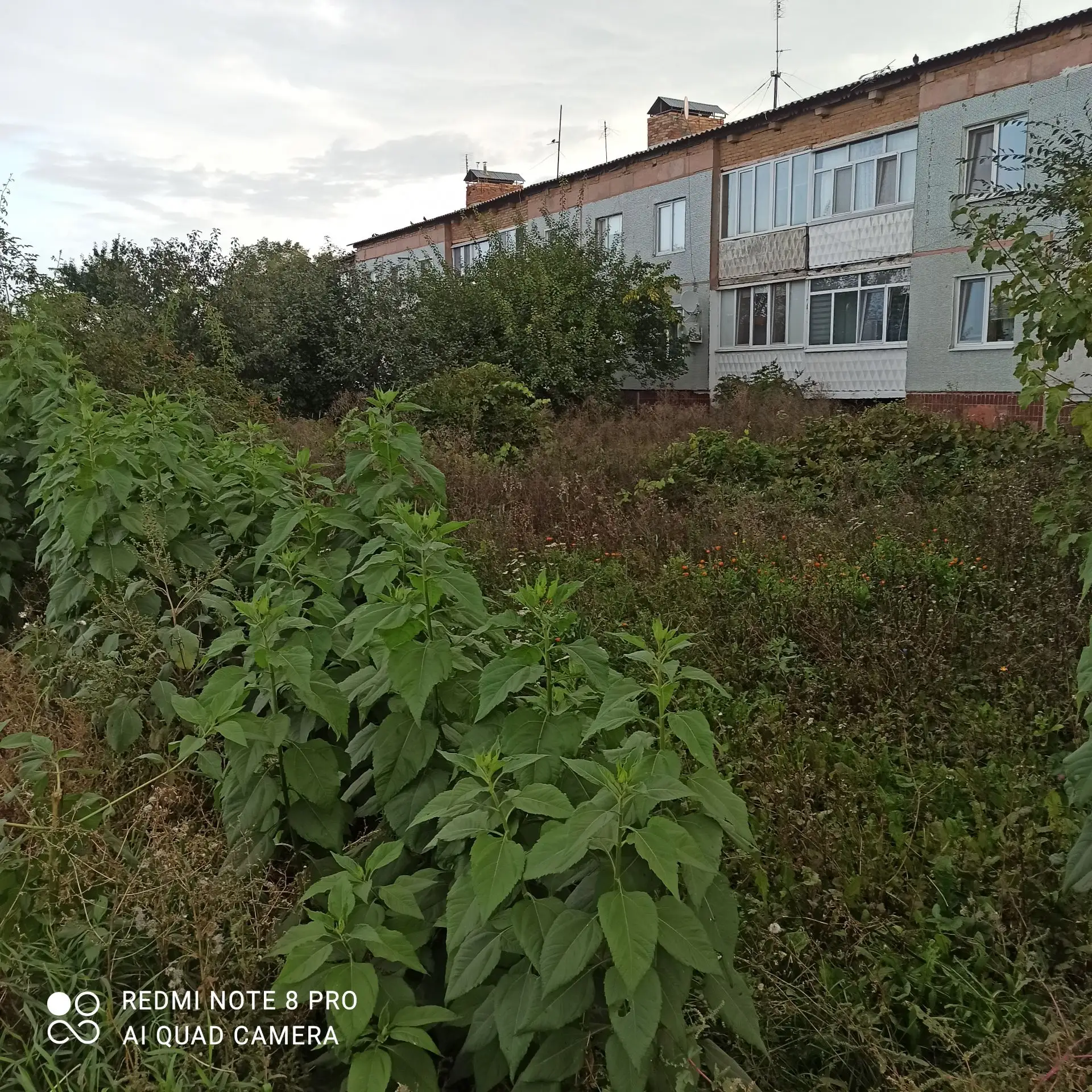 Добрый вечер, прошло почти ровно один год как по вашему распоряжению до 01.12.2025 года...