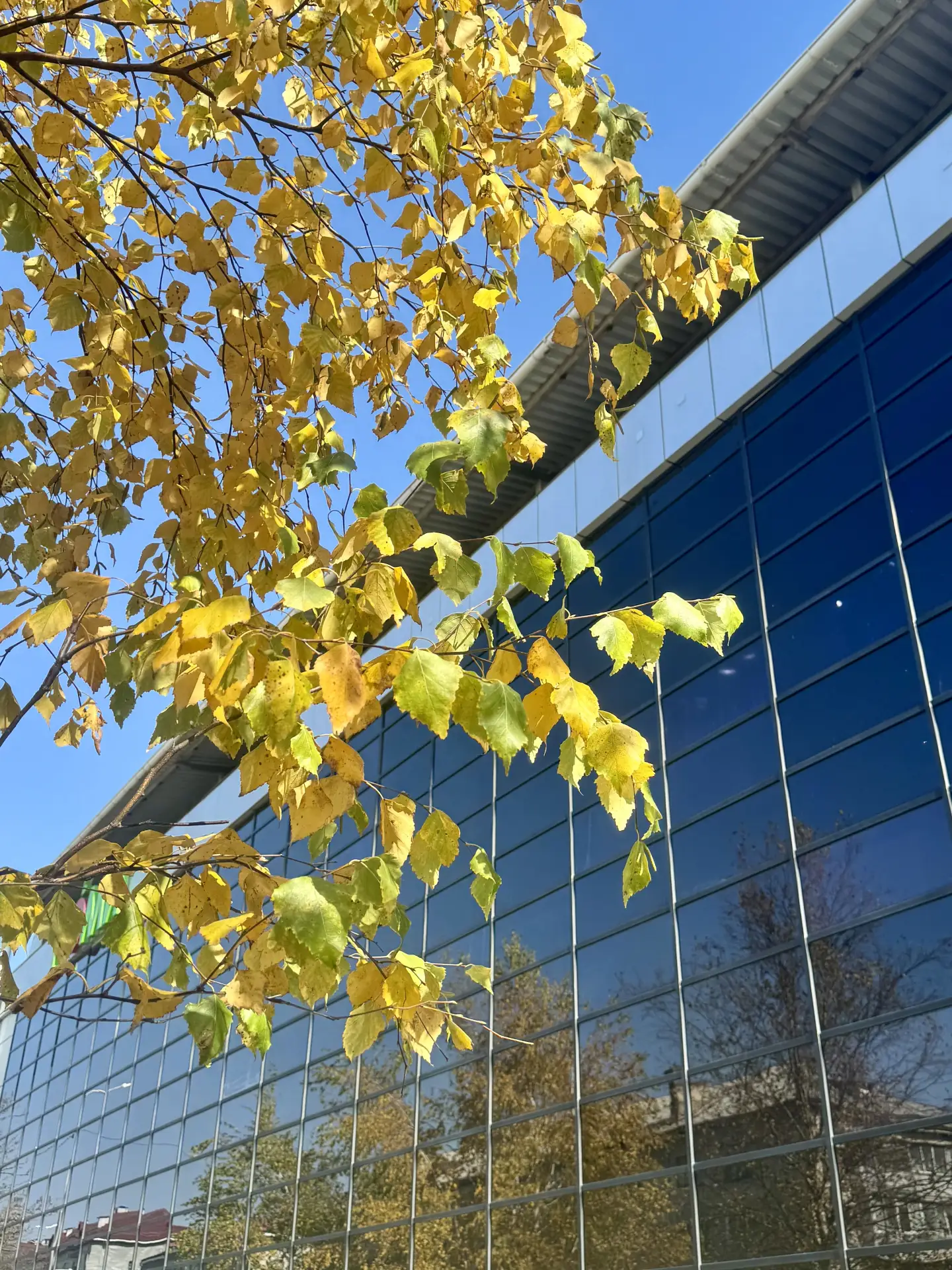 Осень однако ☝️🍂🍁🍂