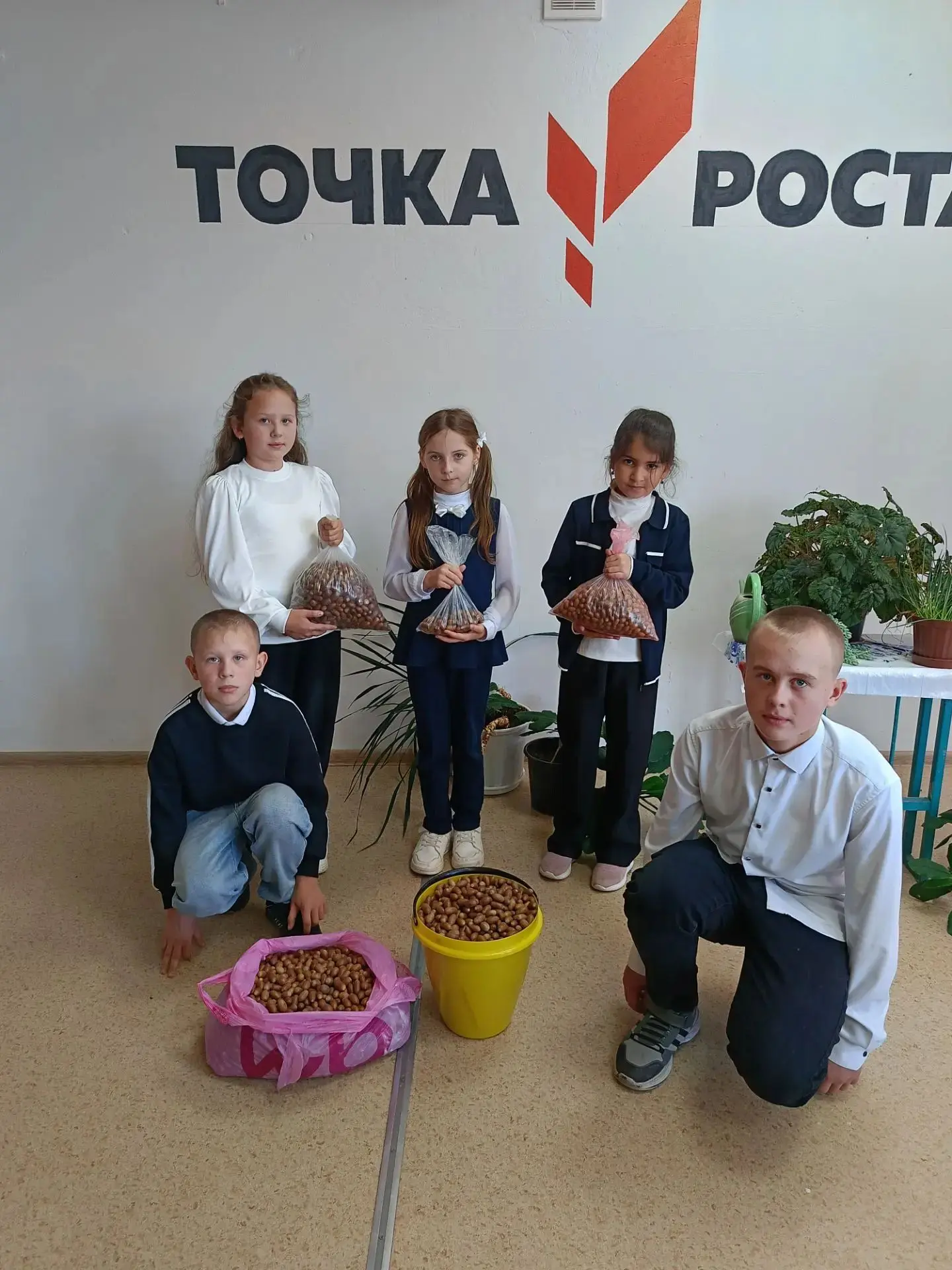 Акция «Собери жёлуди — сохрани лес»