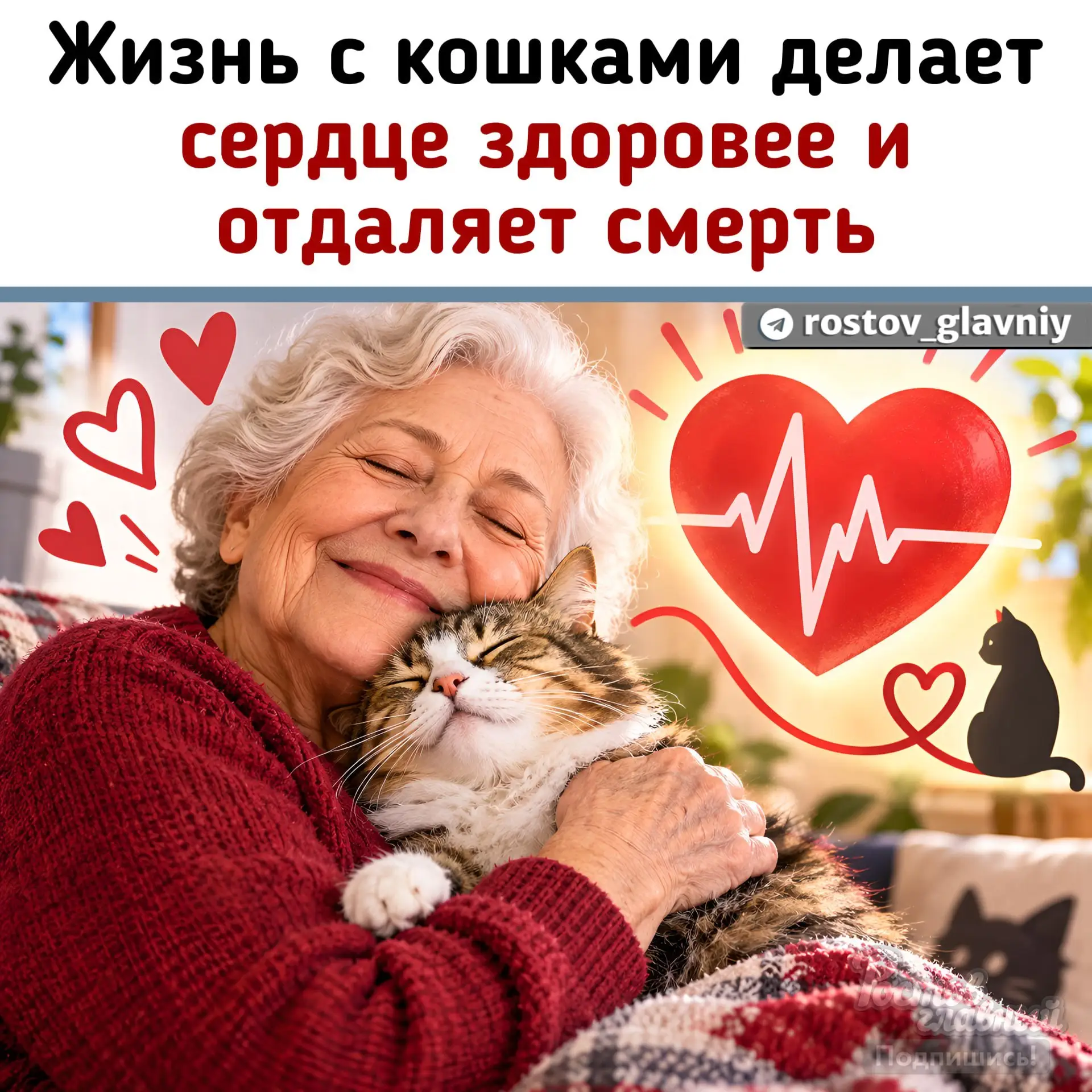 Кошки и здоровье сердца