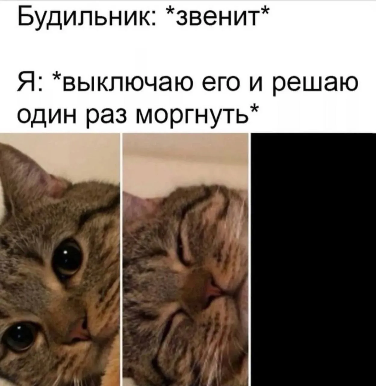 В субботу можно и поморгать.