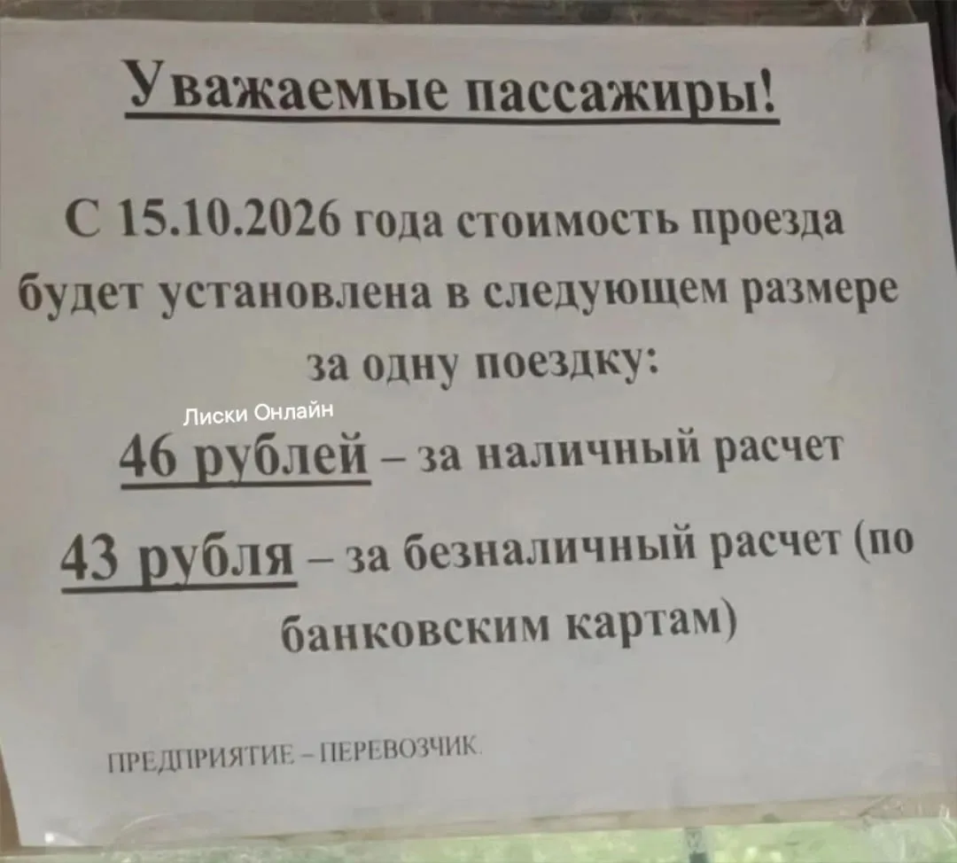🚌 Внимание, пассажиры Лисок!