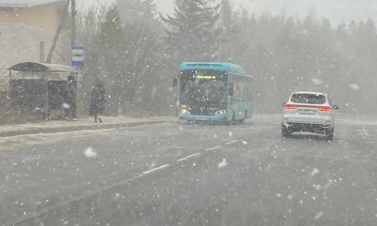 🌨🏠 В Петрозаводске выпадет первый снег. В ночь на 13 октября на юге Карелии и в Петро...