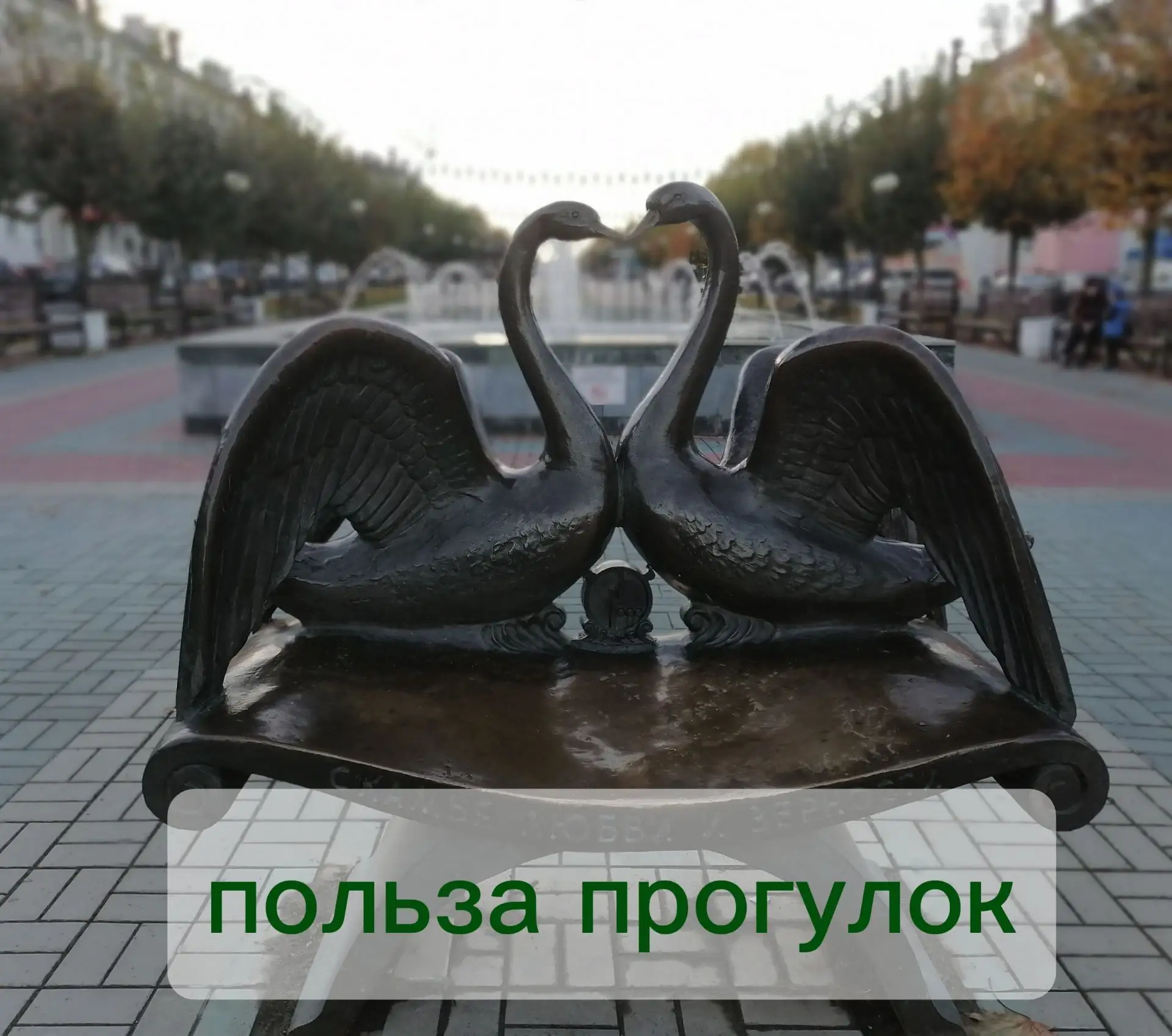 🌳 Польза прогулок для беременных: