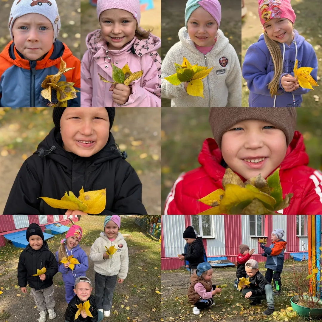 🍂 День собирания осенних листьев