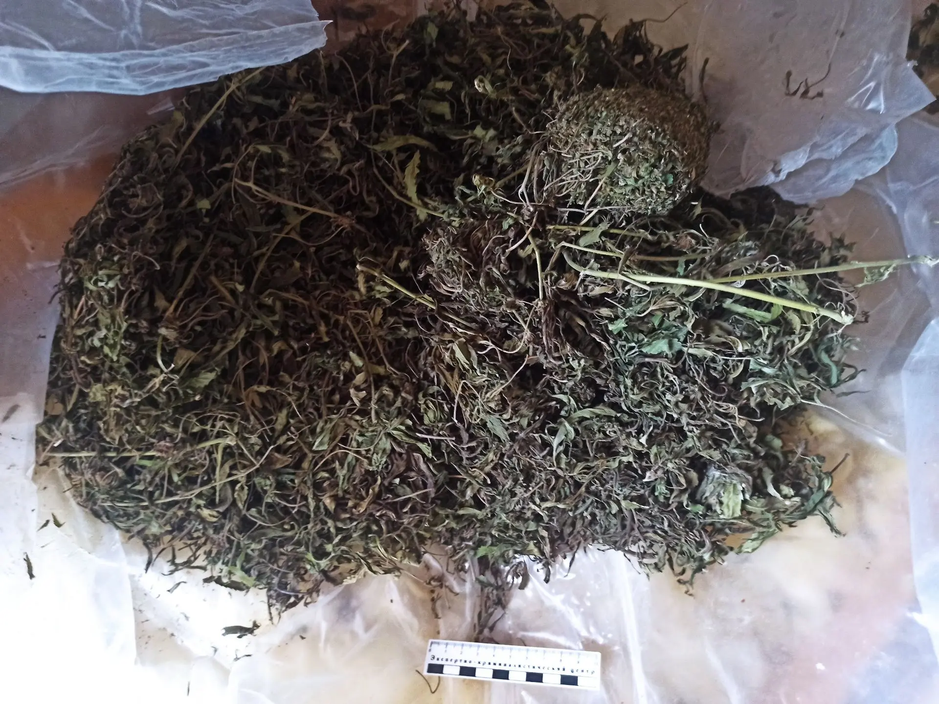 В МАЙСКОМ РАЙОНЕ ПОЛИЦЕЙСКИЕ ИЗЪЯЛИ ИЗ НЕЗАКОННОГО ОБОРОТА ОКОЛО КИЛОГРАММА МАРИХУАНЫ