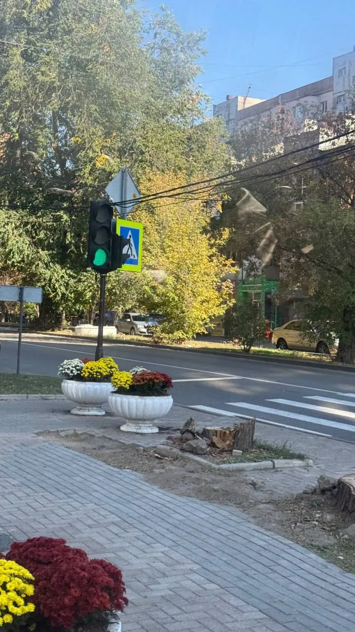 На улицах Донецка появляются новые цветочные клумбы