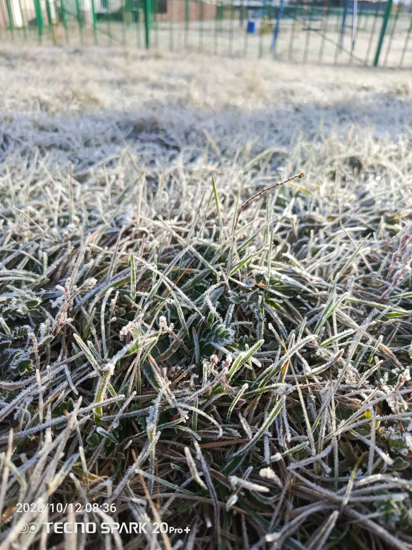 Уже близко 🥶