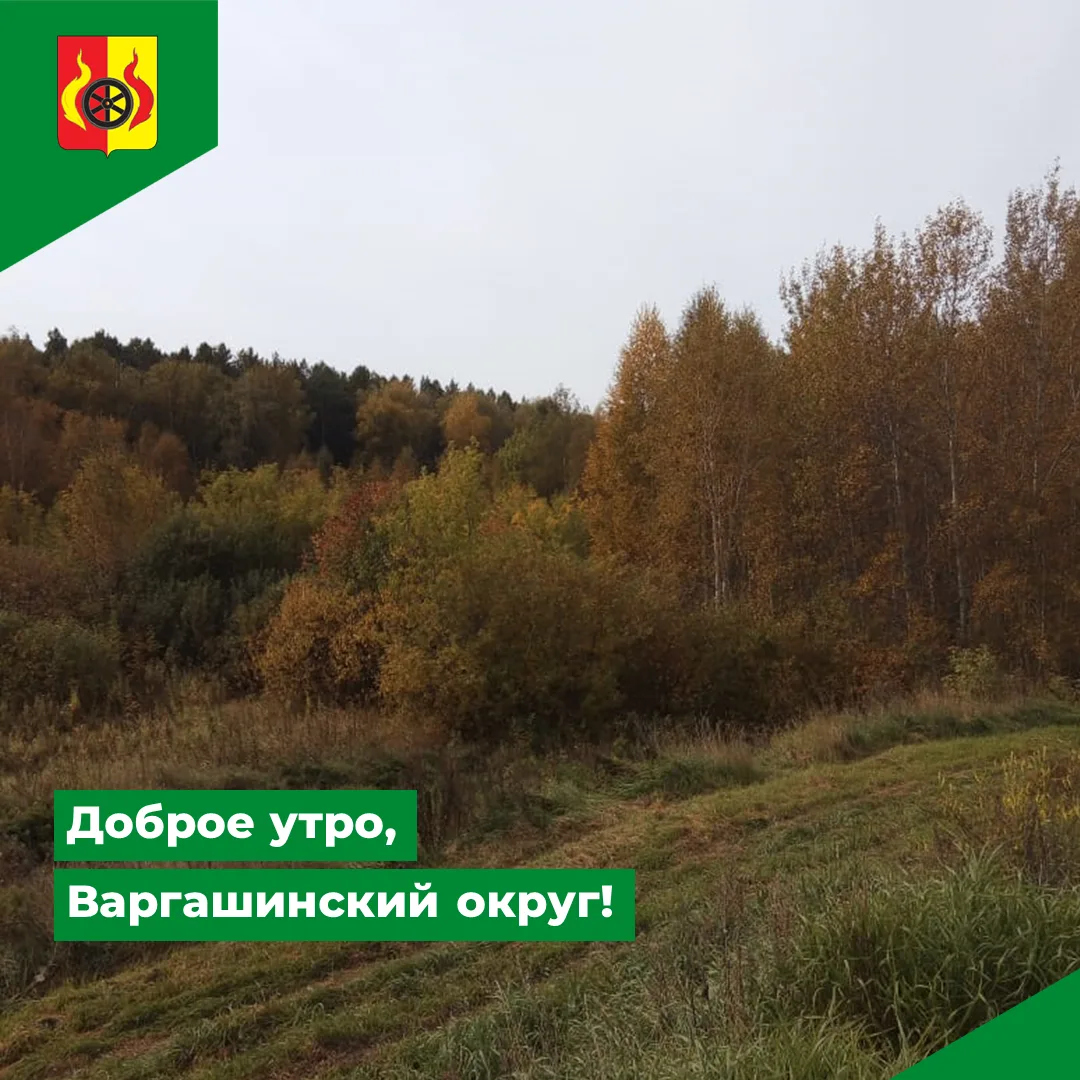 Доброе утро, Варгашинский округ! Температура за окном +4 градуса. Днём ожидается до +13.