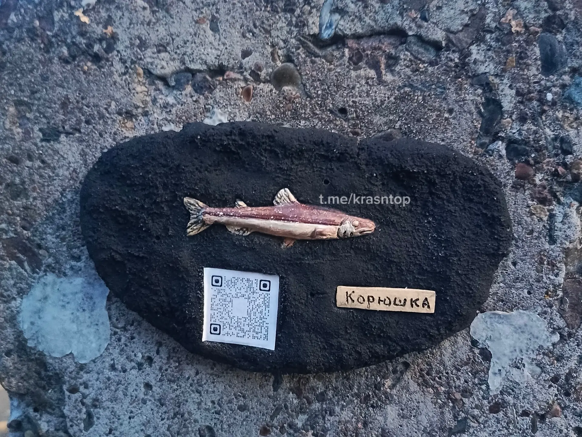 Маленькая корюшка, обитательница Енисея, появилась на набережной возле тира.