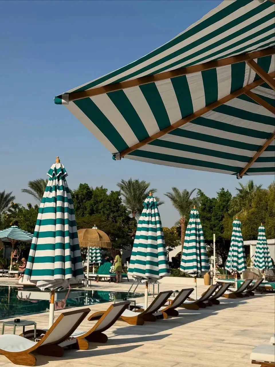 ☀️ Египет зовет! Отдых в одном из самых популярных отелей Хургады по отличной цене!🌴