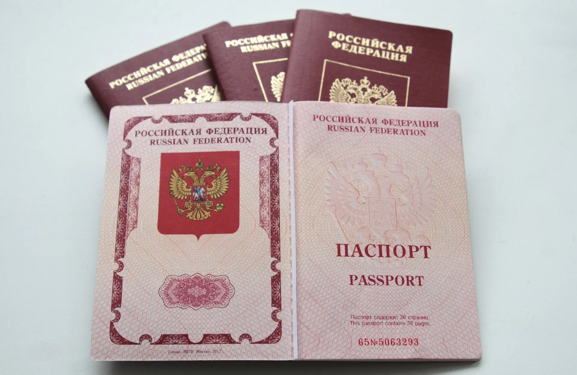 От плохой фотографии до ошибки в анкете: полиция назвала причины отказа в приеме докуме...