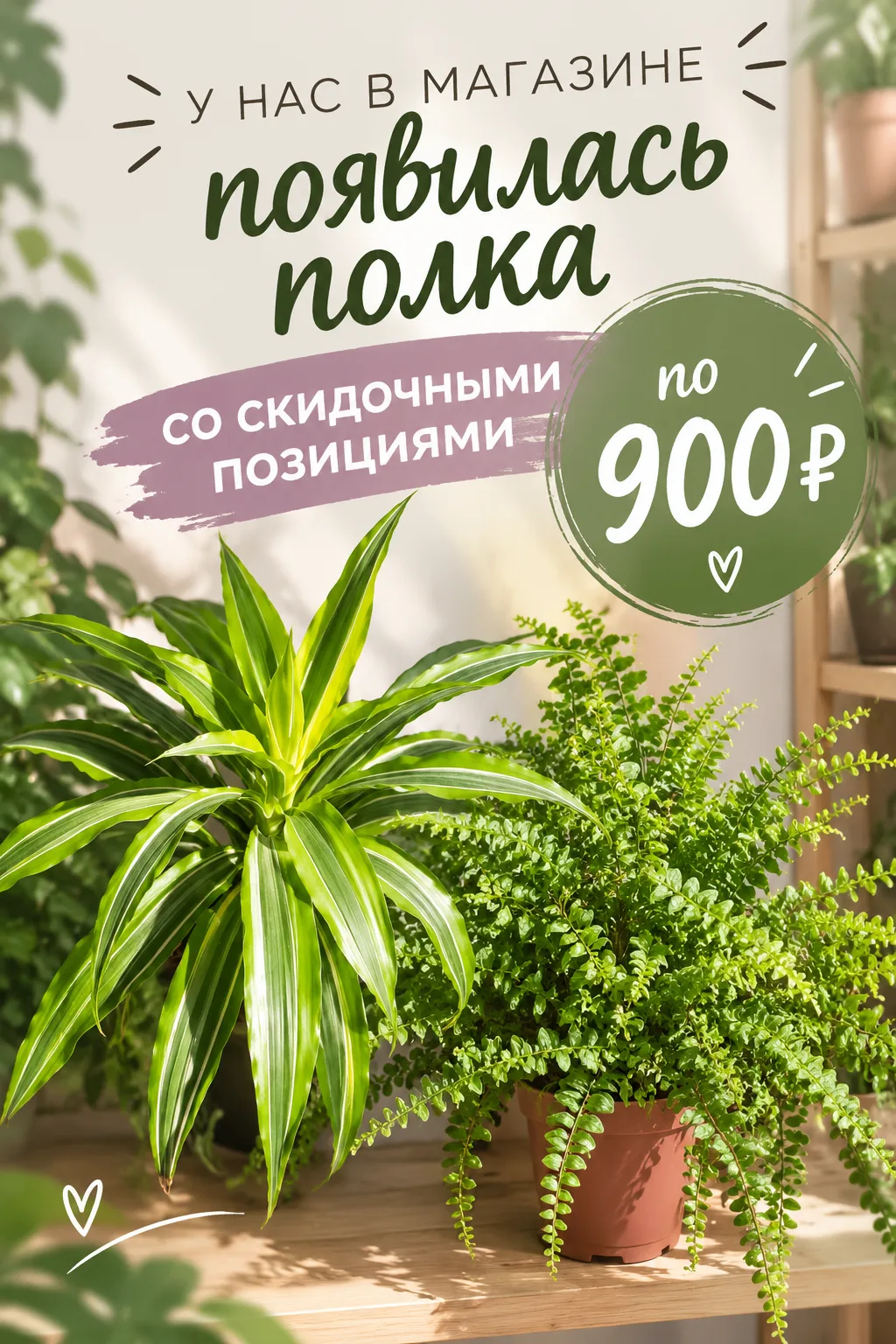 Найдите своё растение по скидке! 🌱 Драцены, папоротники, хлорофитумы и другие — 900 ₽....