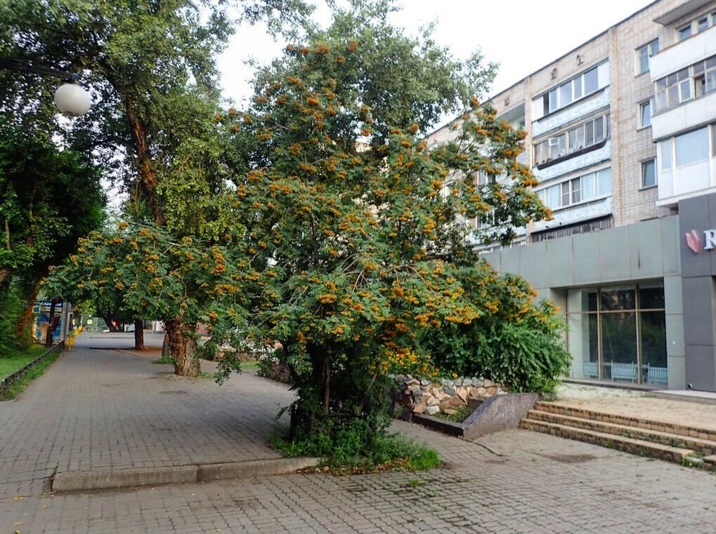 Кто подскажет год?