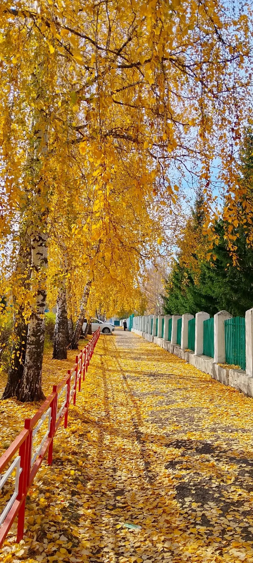 Всё в золоте.