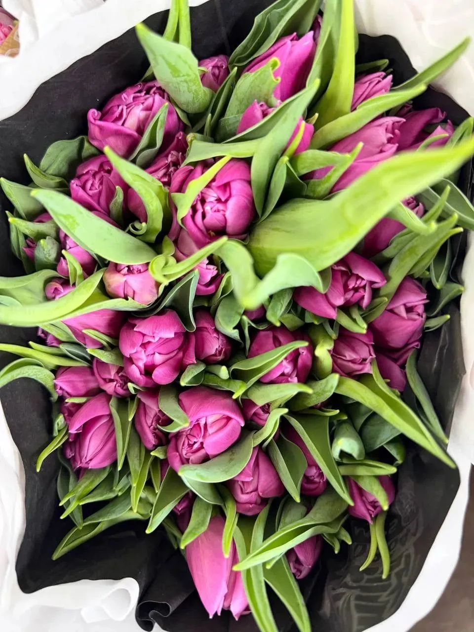 Всем доброе дня💐 кому тюльпанов? Доставка будет завтра, работаем с этим цветком только...