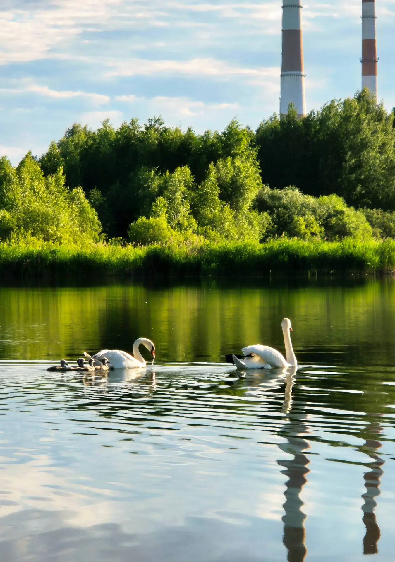 Окунемся в лето 🏝️
