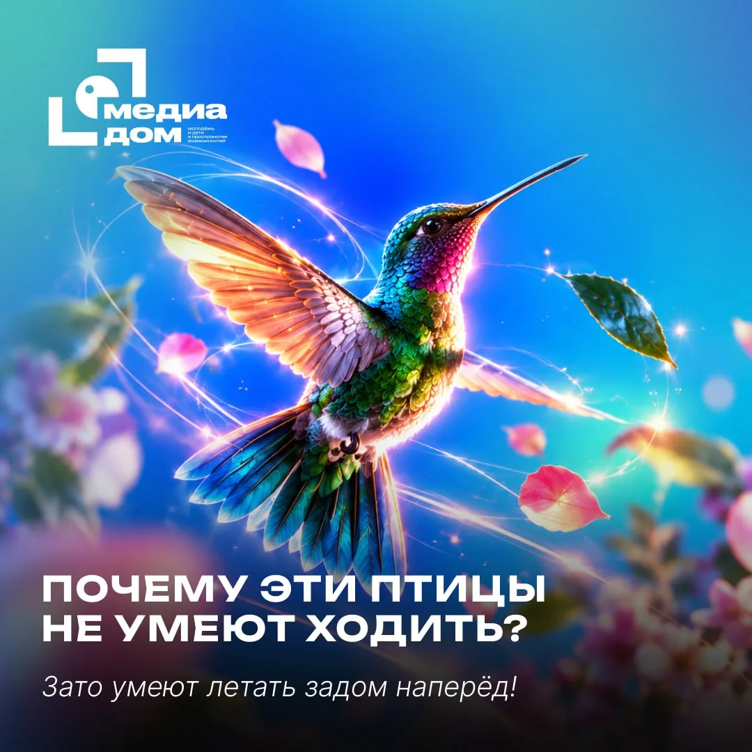 Эти птицы умеют летать назад, но не умеют ходить!