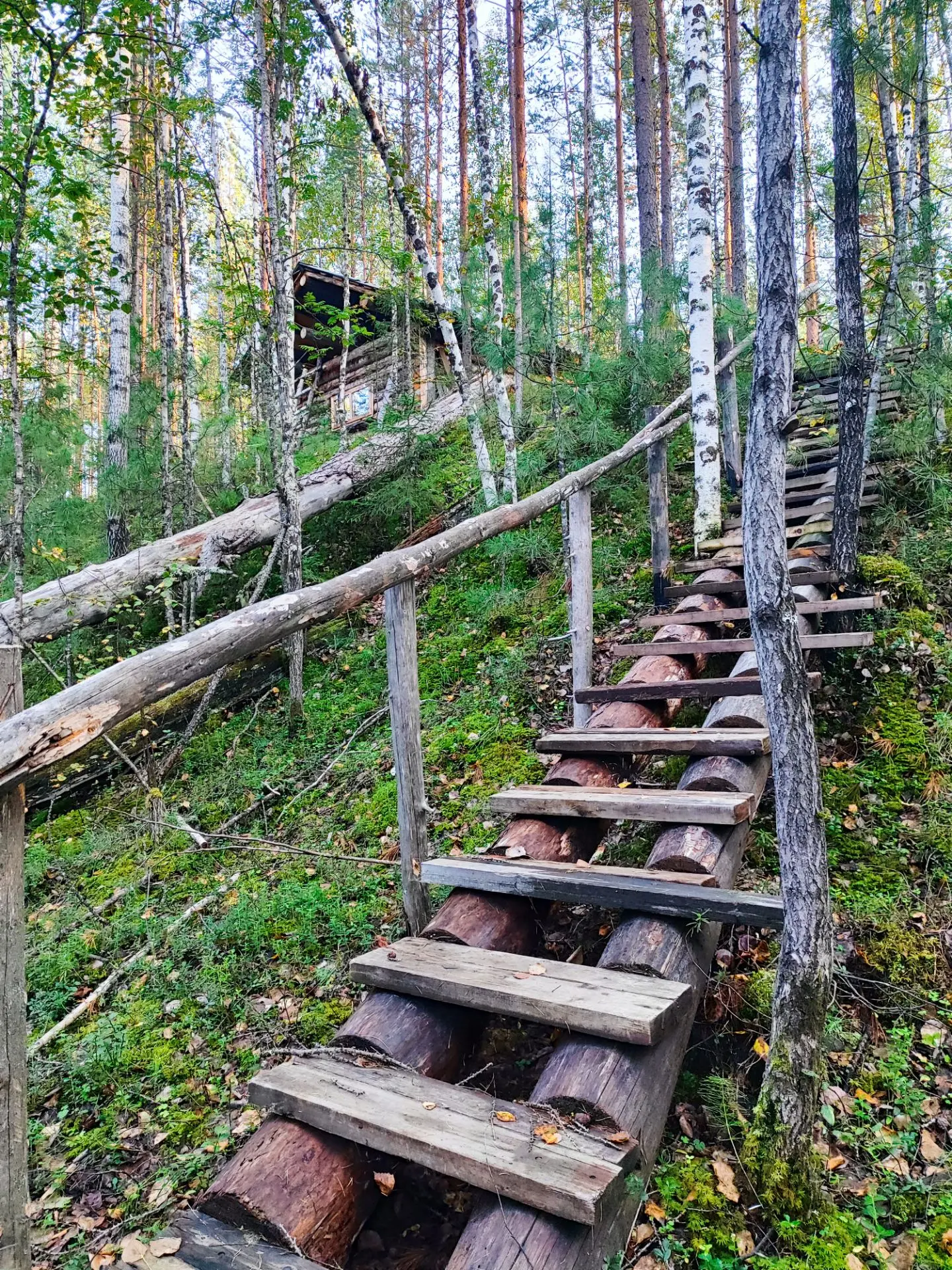 Одна из таёжных избушек Якова Кузнецова. Ну, и наша бодрая троица.