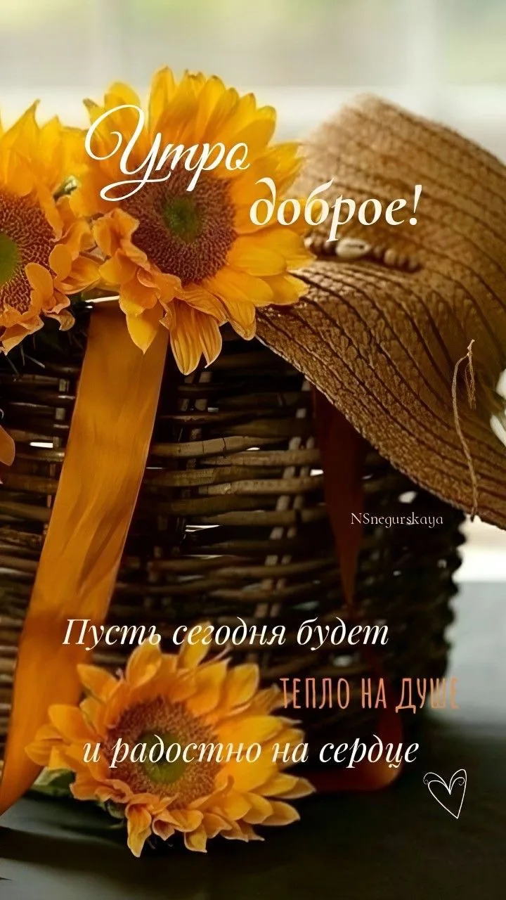 😊 Доброе утро! Пусть сегодня всё складывается легко, люди встречаются добрые, а поводо...