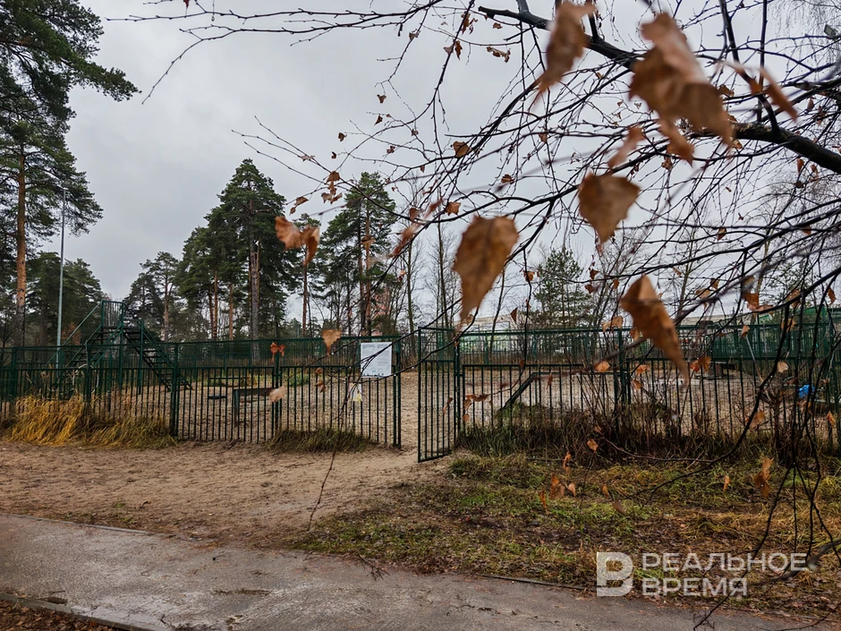 Сегодня в Татарстане ожидается до +17 градусов