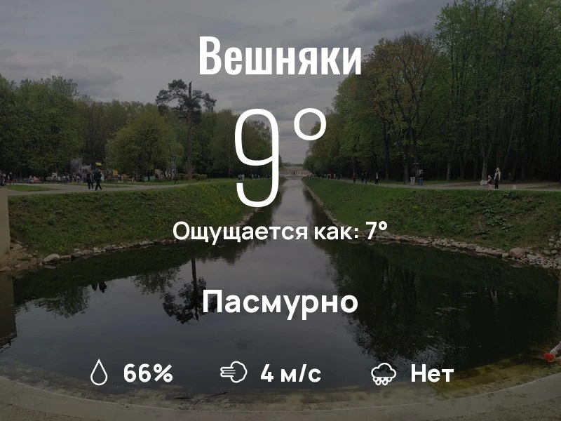 Что с погодой в Вешняках?