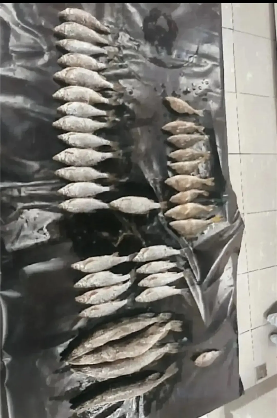 В Красноярском крае в суд направили уголовное дело о незаконной рыбалке во время нерест...