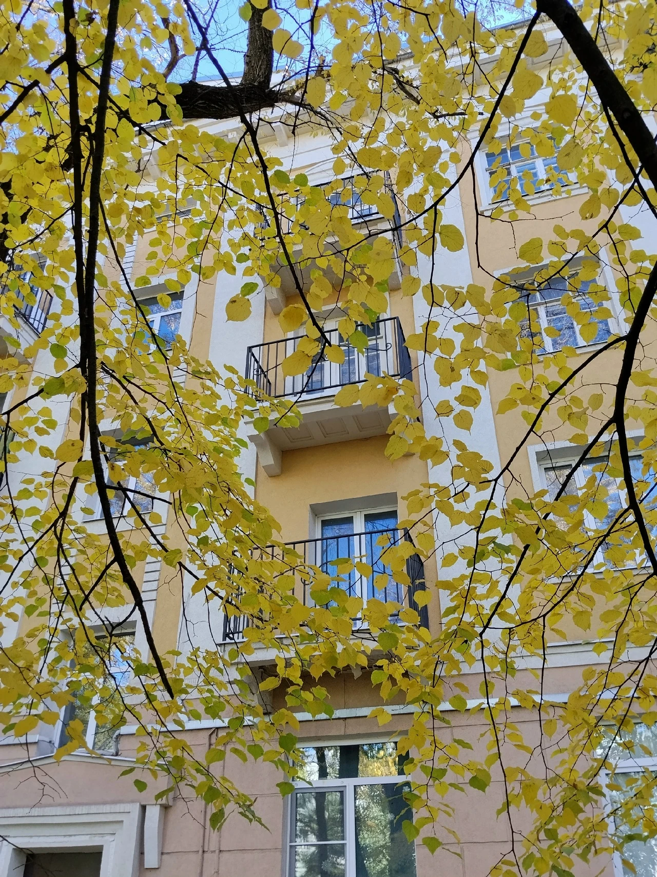Какая красивая и тёплая осень в этом году 😍