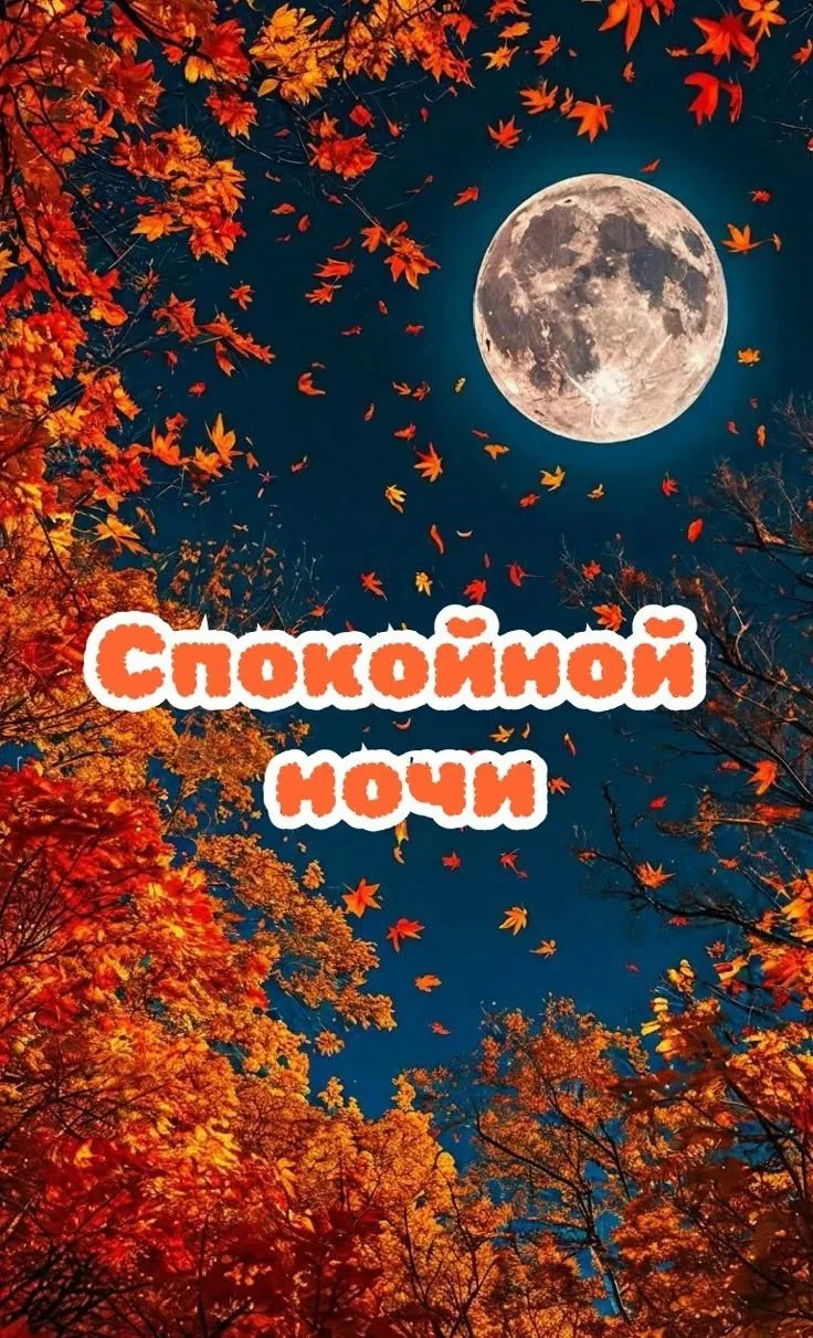 🥰 Оставляйте реакции, если понравилась открытка и делитесь с близкими ❤️