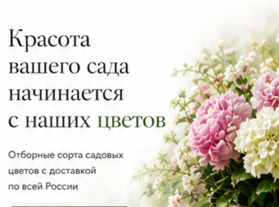 Время сажать весну: ваша идеальная коллекция луковичных для осеннего цветника!