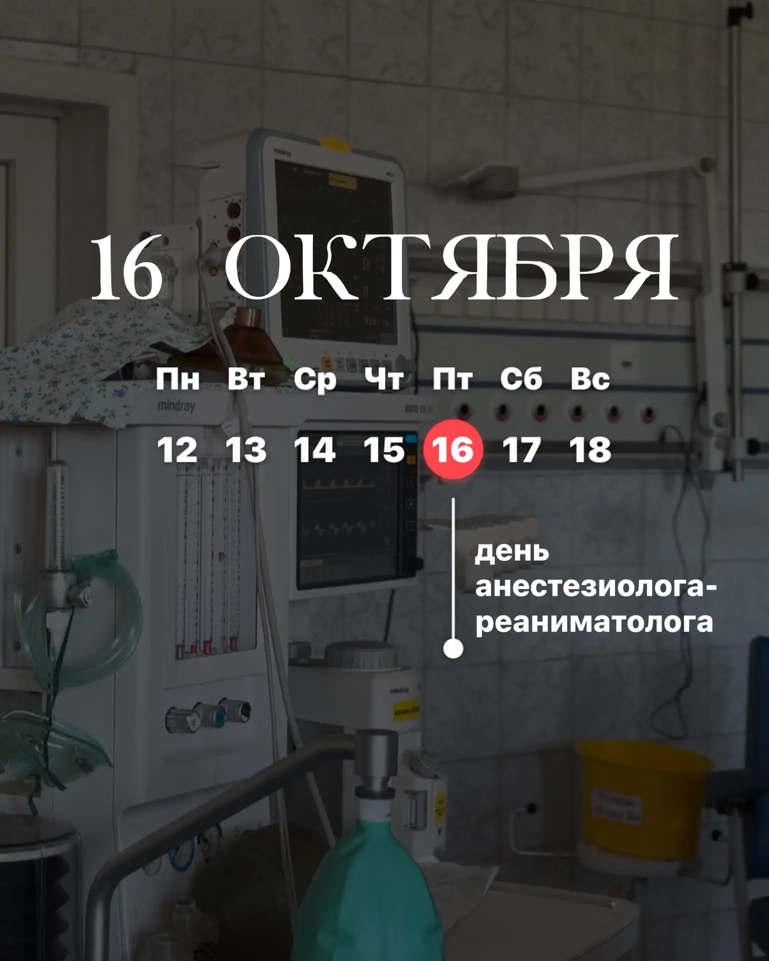 🎉16 октября - день, когда мы особенно тепло говорим о людях, чья работа часто остаётся...