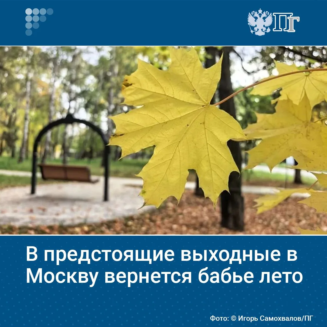 В ближайшие дни Москву и Подмосковье ждет бабье лето. В столичном регионе ощутимо потеп...