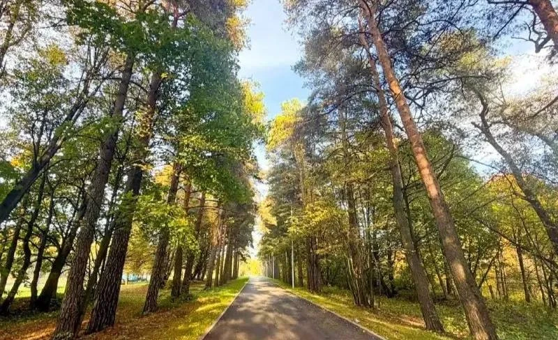 🌿 К усадьбе Знаменское-Садки теперь удобнее добираться