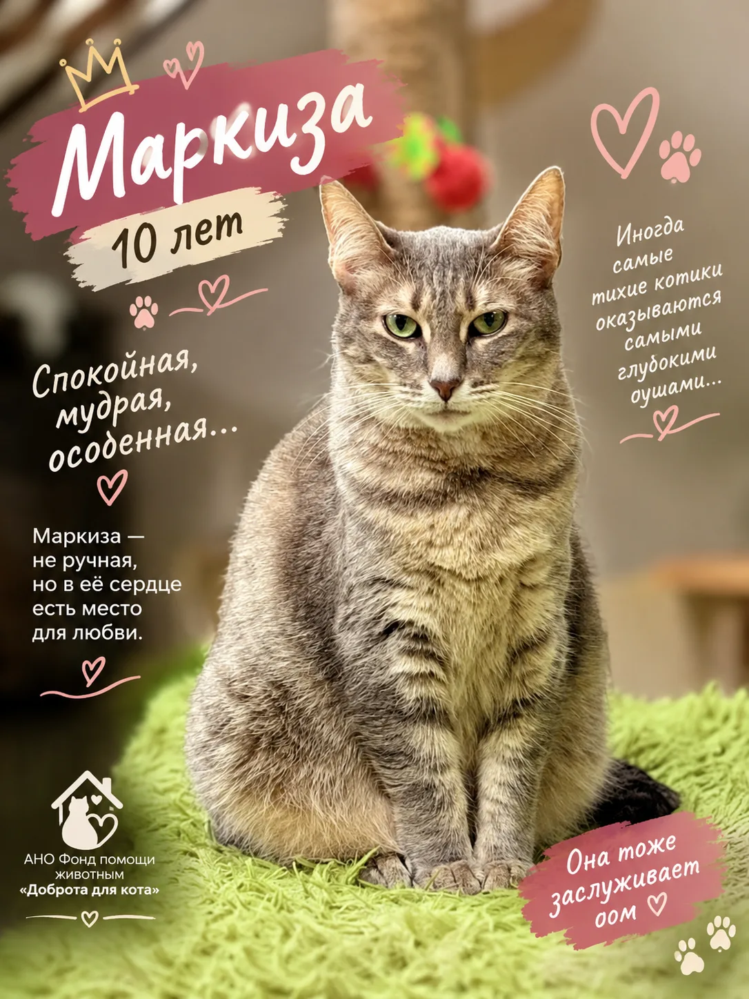 🐾 ЗАМЕТЬТЕ ДИКИЕ ДУШИ 🐾