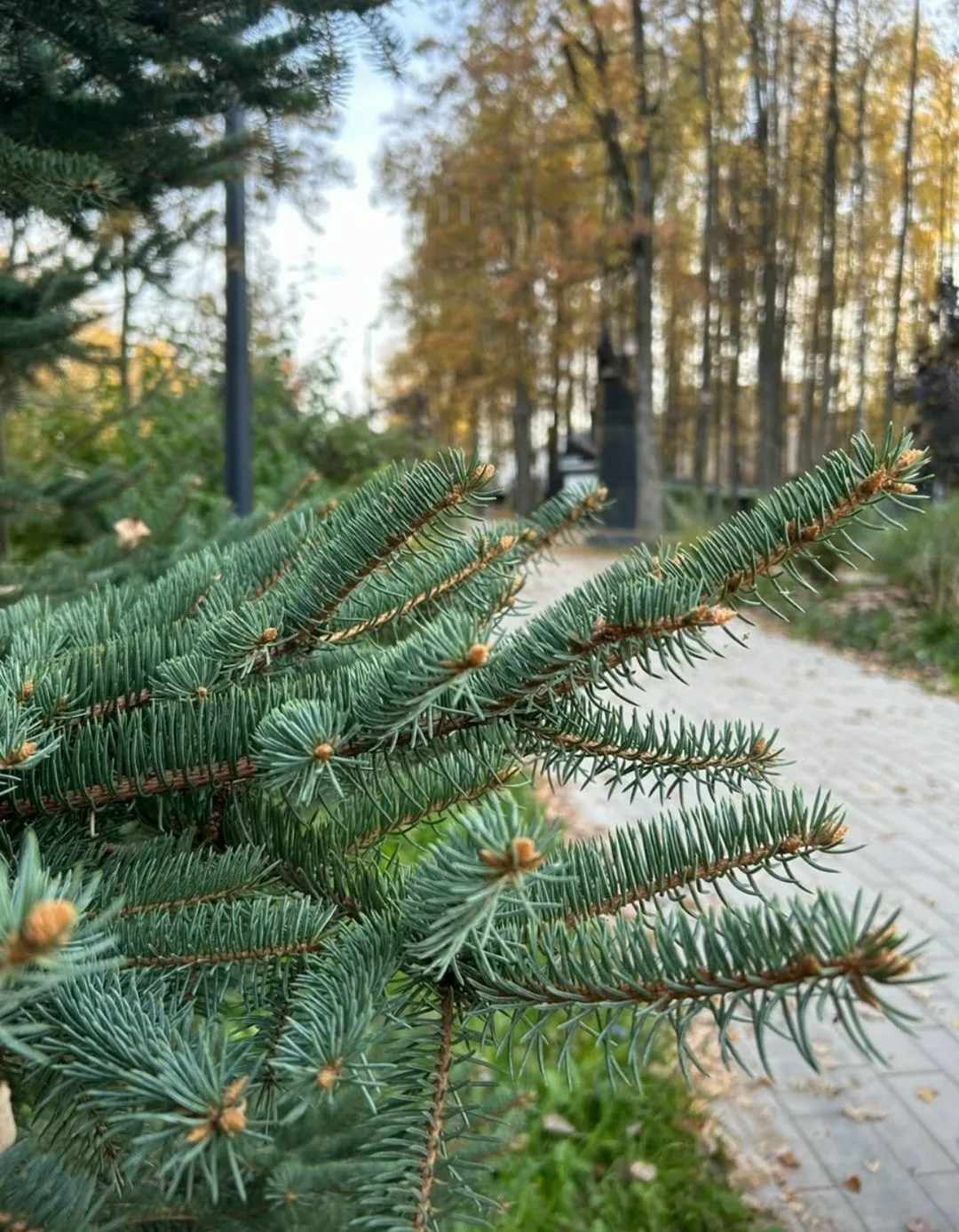 Доброго утра! Хорошего настроения на весь день 💛