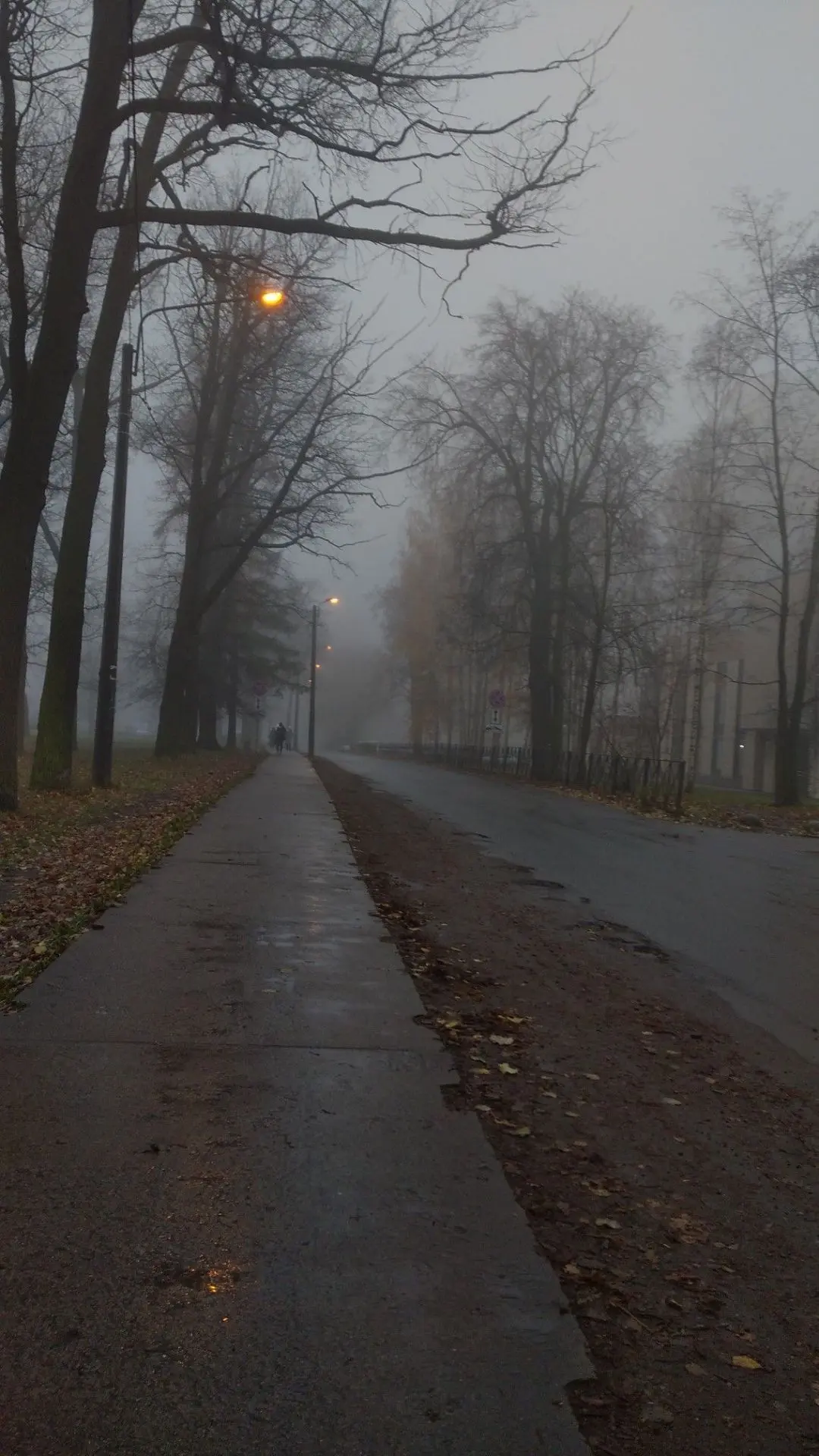 Каждый год ближе к ноябрю во мне зреет желание срочно стать климатическим беженцем…