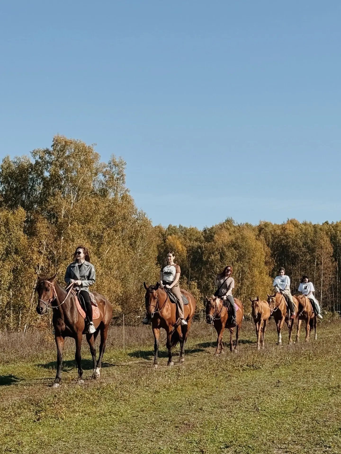 Лошади + настоящая кузница + осенний Шуран = идеальный день за городом 🐎🍂