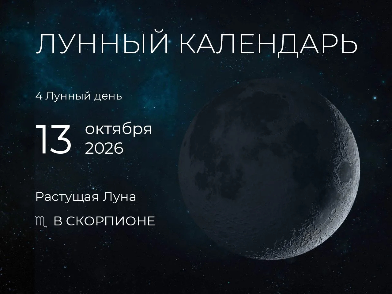 📆 Рекомендации дня: