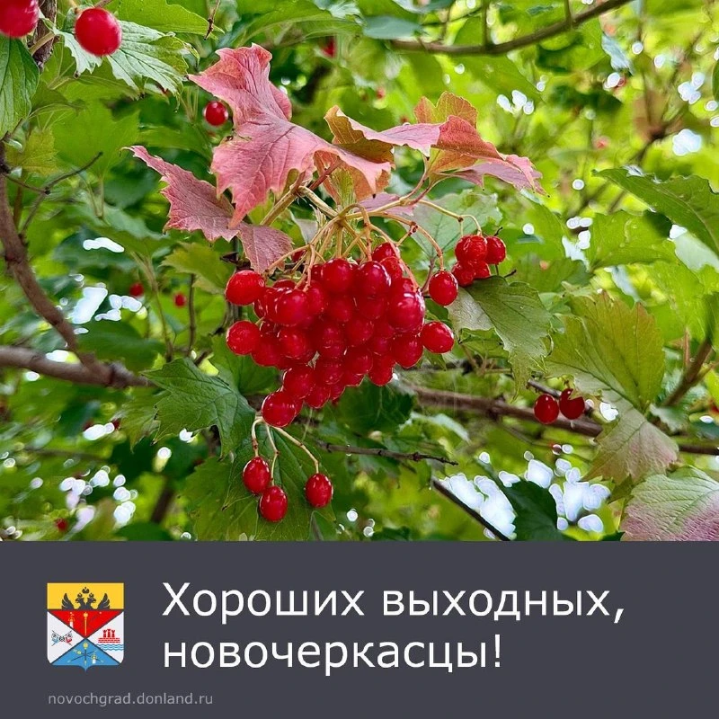 🌥 ️ На выходных в Новочеркасске будет облачно и без осадков