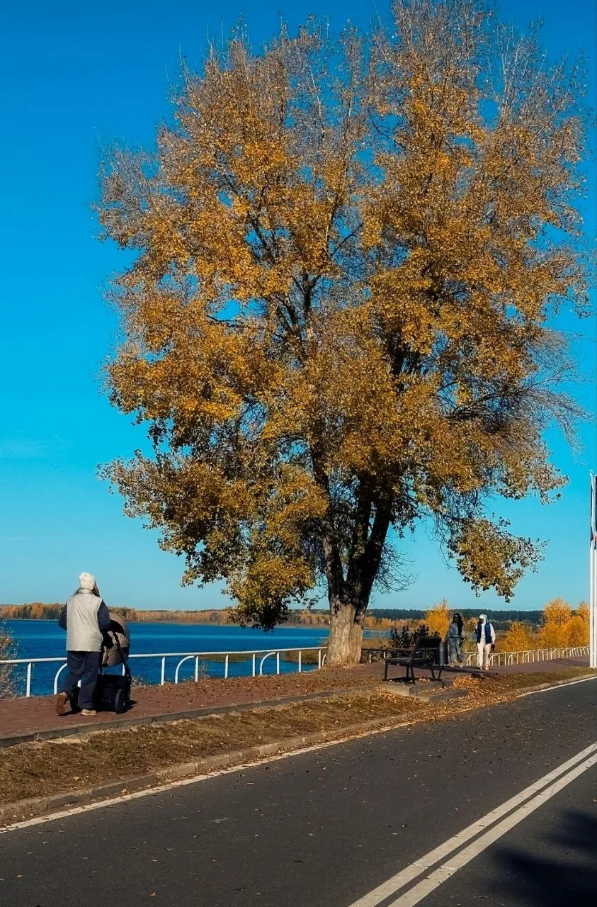 🌡️🍂В Татарстане после заморозков потеплеет до +20 градусов