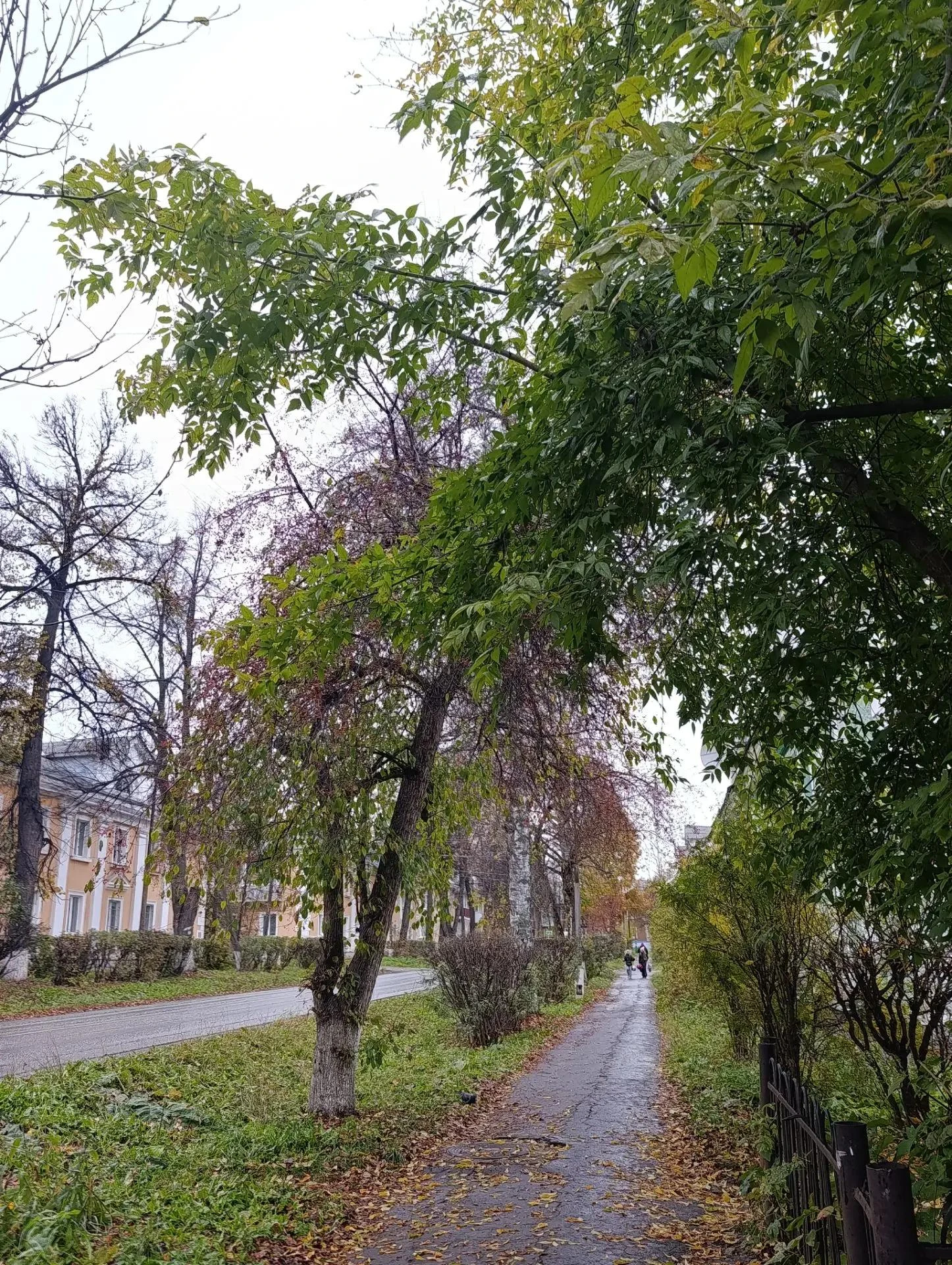 Доброе утро, Ревда! С новым днем!