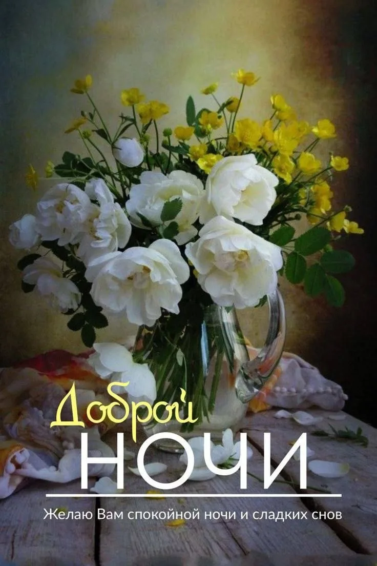 Доброй ночи, Ворошиловский!🥰