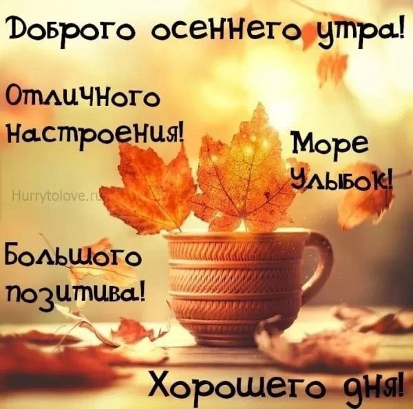 Доброе утро!🍁