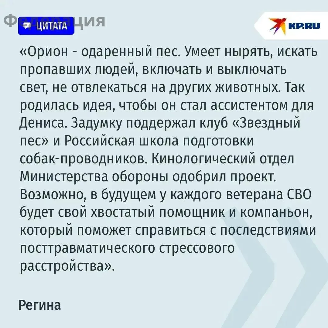 🐶 Трое в палате, считая собаку: жена спасает раненого на СВО мужа, а помогает ей в это...
