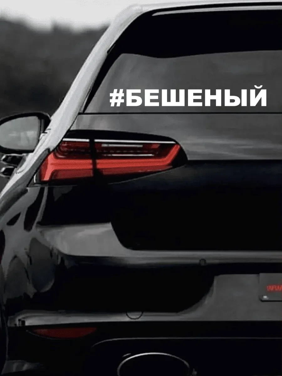 В 6 районах Татарстана введут карантин по бешенству после нападения кошек
